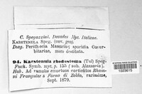Karstenula rhodostoma image